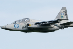 DSC_4591